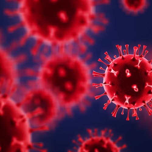 Po smrtih na križarki opozorilo stroke: mutirani hantavirus zahteva pozornost, ne panike