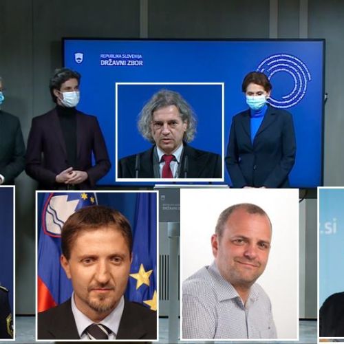 vsi-golobovi-moze-zene.jpg