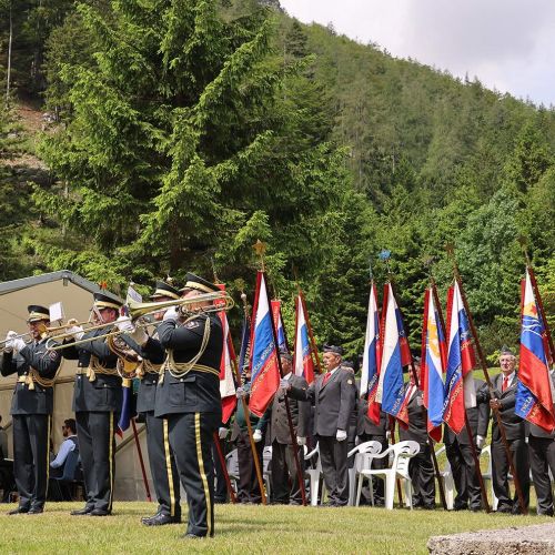 Mnenja glede zvezde na državni proslavi ostajajo deljena