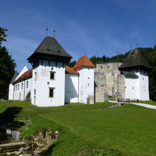 Žiče_Charterhouse_2015_159.jpg