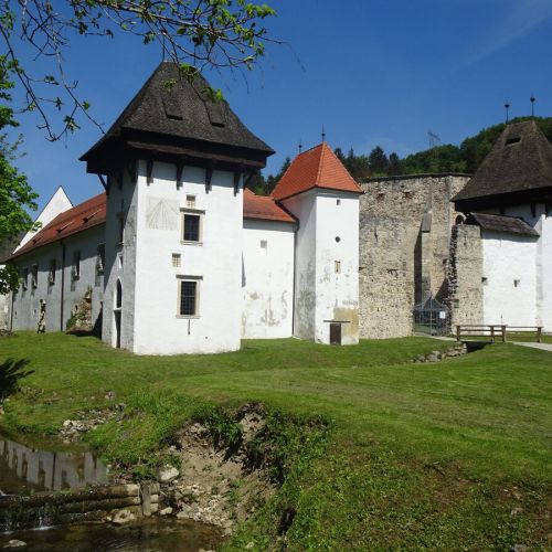 Ena najstarejših knjižnic na Slovenskem je hranila več kot 2.000 knjig. Kje so danes?