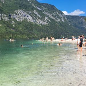 m5f21_170-vogar-bohinj-2.jpg